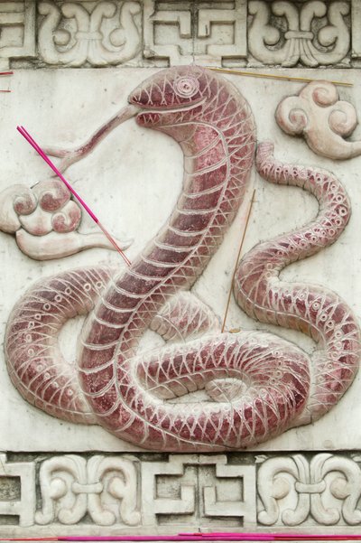 Chinees astrologisch teken. Witte wolkentempel, Peking, China door Unbekannt