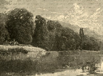 Cliefden Woods, 1898 door Unbekannt