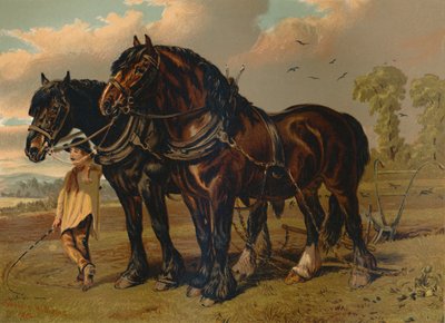 Clydesdale Hengst & Merrie, c1879 door Unbekannt