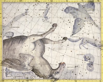 Constellatie van Pegasus, 1729 door Unbekannt