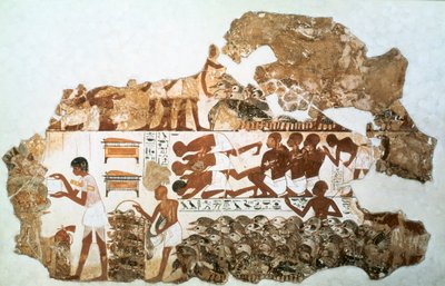 De ganzen tellen: fragment van muurschildering uit het graf van Nebamun, Thebe, Egypte door Unbekannt