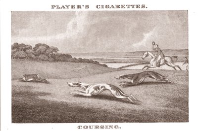 Coursing-11, 1924 door Unbekannt