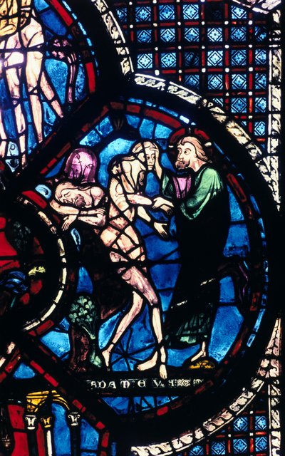 Schepping van Eva, glas-in-lood, Kathedraal van Chartres, Frankrijk, 1205-1215 door Unbekannt