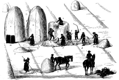 Vruchtwisseling: roggegras dorsen voor zaad, 1855 door Unbekannt