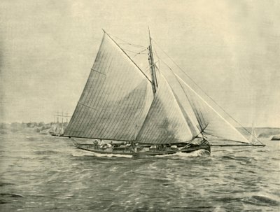 Cruisen in Port Jackson, 1901 door Unbekannt