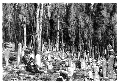 Cipressen op de begraafplaats van Scutari, Turkije, 1895 door Unbekannt