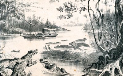 David Livingstone navigeert de Zambezi, Afrika, 1852-1864 c1878 door Unbekannt