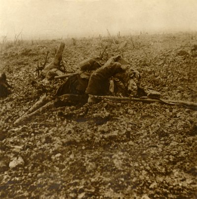 Dode soldaat op Hill 304, na de Slag om Verdun, Noord-Frankrijk, 1916 door Unbekannt