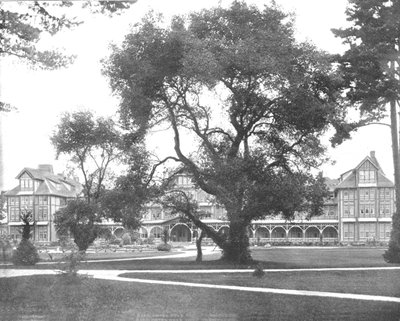Del Monte, Monterey, Californië, VS, ca. 1900 door Unbekannt