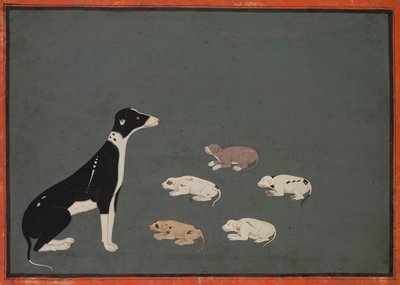 Hond met pups, ca. 1780 door Unbekannt
