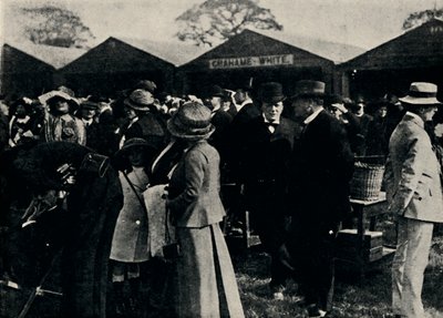 Vroege vlucht in een zwaarder dan lucht machine, 1910 door Unbekannt