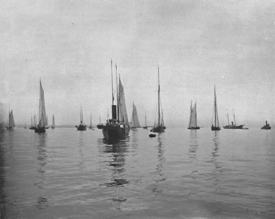 Vroege ochtend in New York Bay, VS door Unbekannt