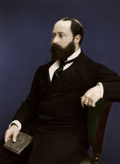 Edward VII toen Prins van Wales, 1876 door Unbekannt