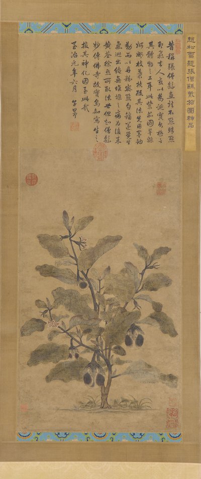 Aubergine, Ming-dynastie, 1368-1644 door Unbekannt