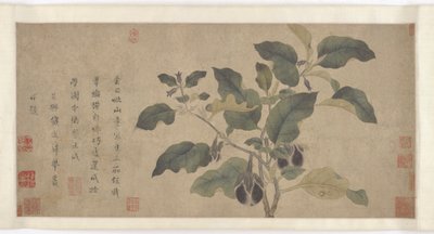 Aubergine, Yuan- of Ming-dynastie, 14e eeuw door Unbekannt