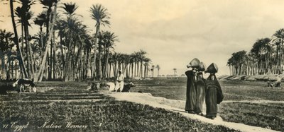 Egypte - Inheemse vrouwen, ca. 1918-ca. 1939 door Unbekannt