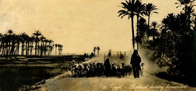 Egypte - Herder die naar huis rijdt door Unbekannt