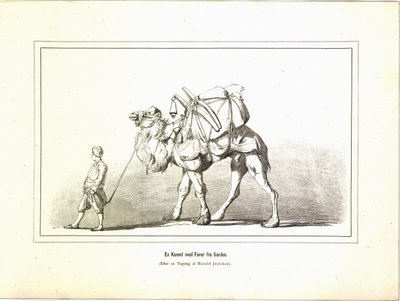 Een kameel met gids uit Sardes. Illustratie uit het boek Brogede rejsebilleder van Jerichau-Baumann, Elisabeth en uitgegeven door Forlagsbureauet (Kopenhagen, 1881) door Unbekannt