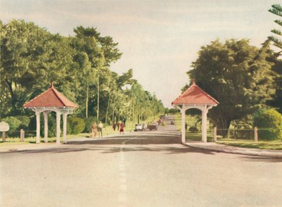 Ingang naar Kings Park, ca. 1947 door Unbekannt