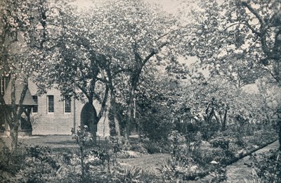 Voorbeeld van boomgaardtuin, oorspronkelijk aangelegd door William Morris door Unbekannt