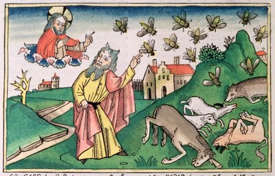 Exodus 8:20-32: Mozes en de zwerm vliegen, een van de Zeven Plagen van Egypte door Unbekannt