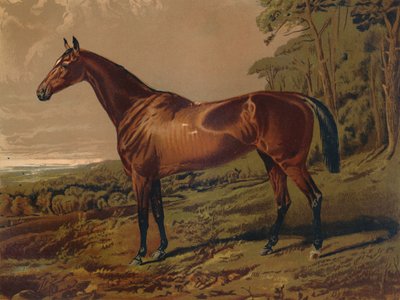 Fair Nell, ca. 1879 door Unbekannt