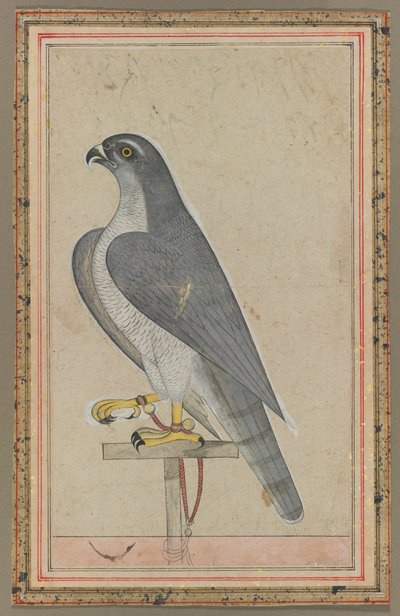 Valk, ca. 1770 door Unbekannt