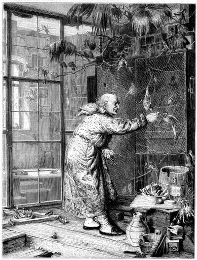 De huisdieren voeren, 1880 door Unbekannt