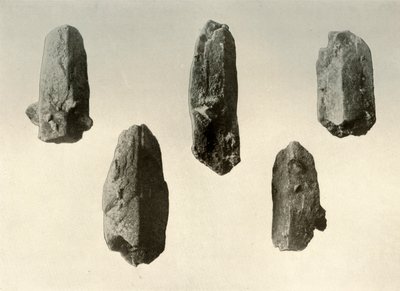 Veldspaatkristallen van de top van Mount Erebus op ware grootte, 1909 door Unbekannt