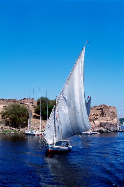 Felucca