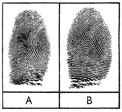 Vingerafdrukken van identieke tweelingen, 1956 door Unbekannt