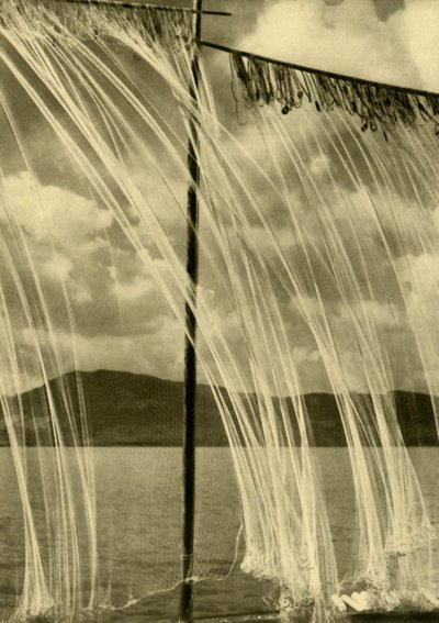 Visnetten, Attersee, Opper-Oostenrijk, c1935 door Unbekannt