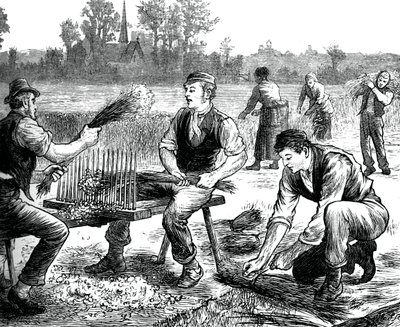 Vlas rimpelen, ca. 1880 door Unbekannt
