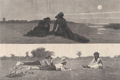 Flirten aan de kust en op de weide Harper