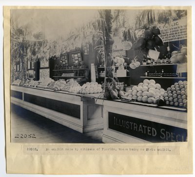 Florida tuinbouwtentoonstelling in het Paleis van Tuinbouw op de Wereldtentoonstelling 1904 door Unbekannt