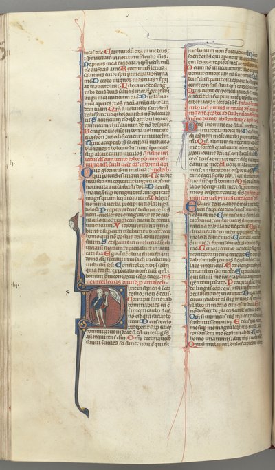 Fol. 222v, Psalm 52, gehistorieerde initiaal D, een dwaas naakt behalve voor een mantel, met een blaas..., ca. 1 door Unbekannt