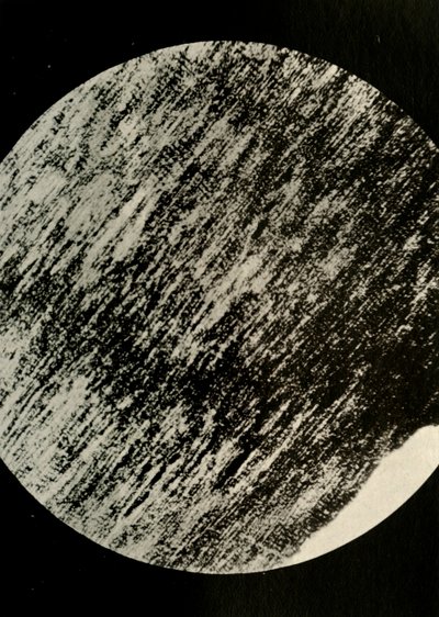 Fossiel hout in zandsteen, van een morene op breedtegraad 85° Zuid, ca. 1908 door Unbekannt