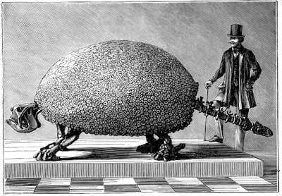 Fossiel van een reuzenarmadillo uit Zuid-Amerika, ca. 1890 door Unbekannt