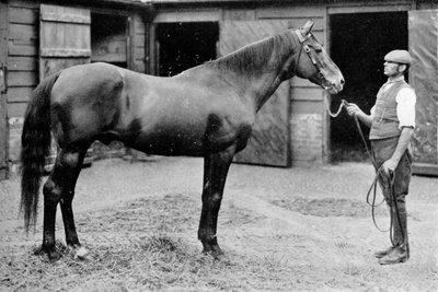Foxhall, 1880-1904, 1911 door Unbekannt