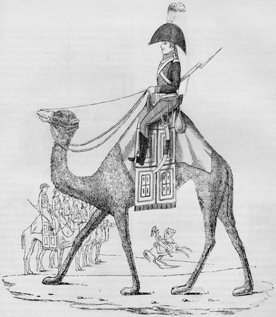Frans Dromedaris Regiment. Gevangen met een konvooi in de Libische woestijn, mei 1801, 1884 door Unbekannt
