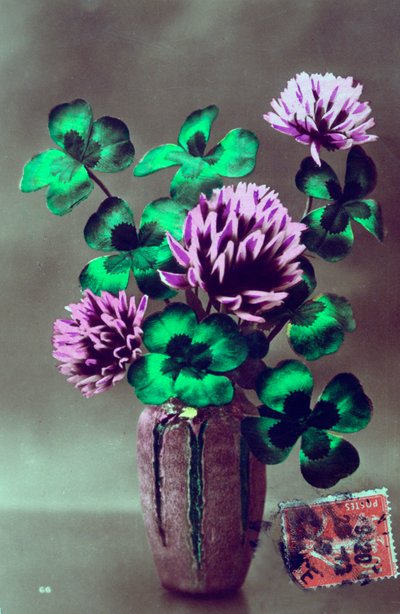 Franse bloemenkaart, c1900 door Unbekannt