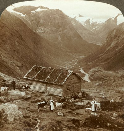 Vanaf de bergherberg bij Vidde saeter naar beneden de Vidde vallei - Mt. Skaala in de verte rechts, ca. 1905 door Unbekannt