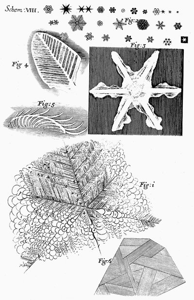Bevroren Materialen Bekeken door Engelse Microscopist Robert Hooke door Unbekannt