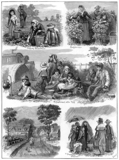 Fruitoogsters, 1899 door Unbekannt