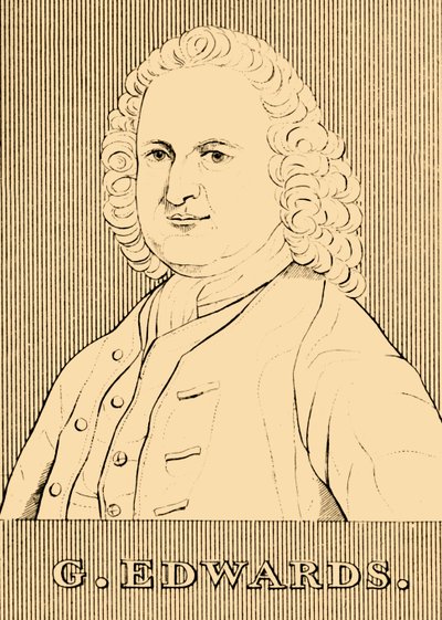 G. Edwards, 1694-1773 door Unbekannt