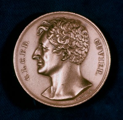 Georges Leopold Chretien Frederic Dagobert, Baron Cuvier, Franse anatoom, 19e eeuw door Unbekannt