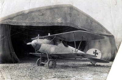 Duitse Albatros DV, Souilly, Frankrijk, 2 januari 1918 door Unbekannt