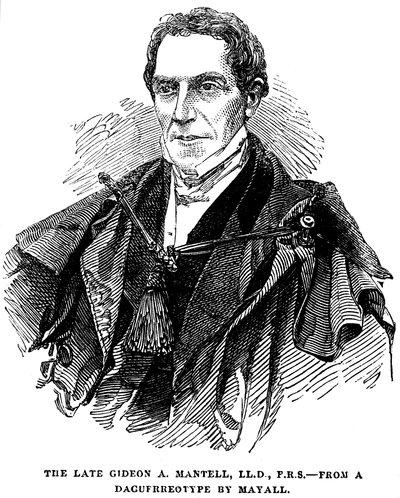 Gideon Algernon Mantell, Engelse geoloog, 1852 door Unbekannt