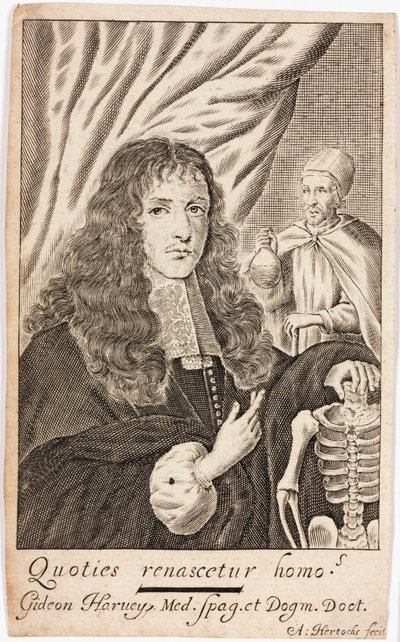 Gideon Harvey, Engelse arts door Unbekannt