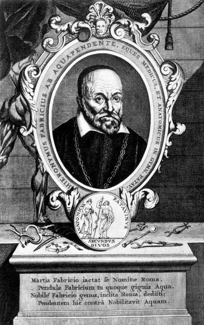 Girolamo Fabrici, Italiaanse anatoom en chirurg, 17e eeuw door Unbekannt